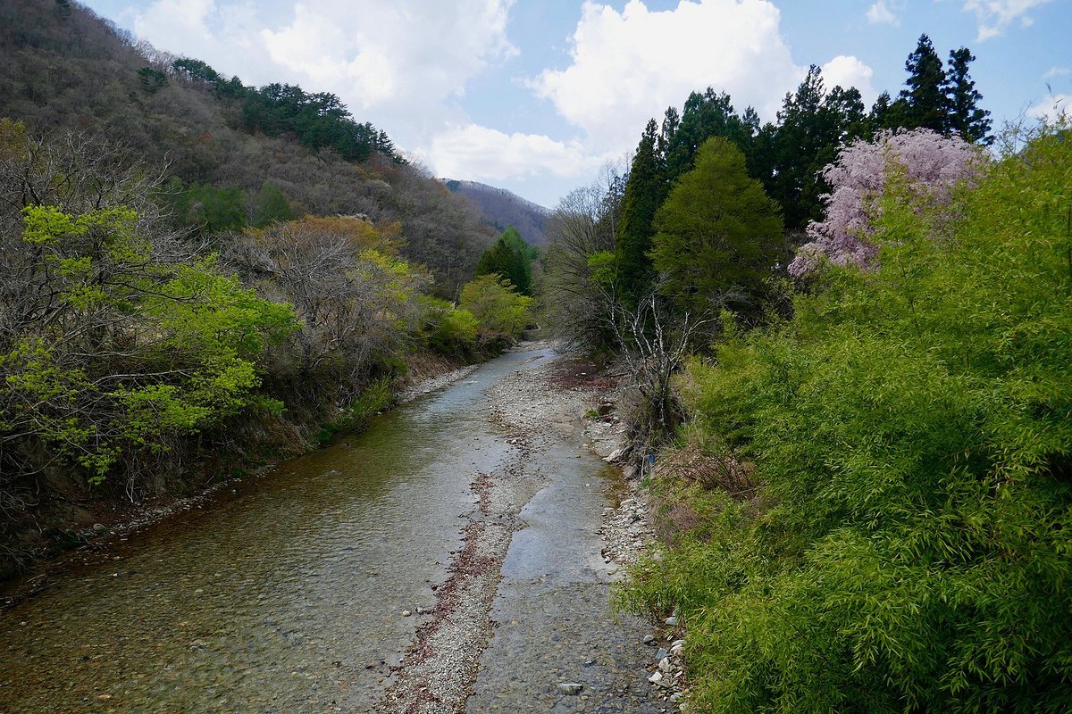🌸 가미미요리 수생식물원(가미미요리 스이세이쇼쿠부츠엔) 이미지 6